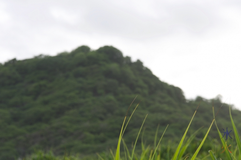 13yo's photograph of hills with grass in focus 'upstairs' at Lily Beach, Christmas Island