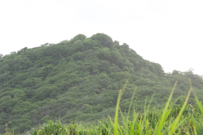13yo's photo of hill with hill in focus 'upstairs' at Lily Beach, Christmas Island