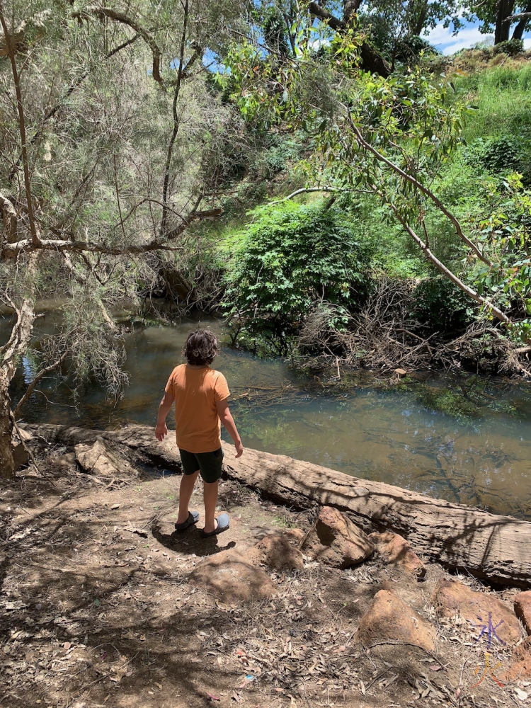 11yo standing on riverbank at park, Gosnells, Western Australia