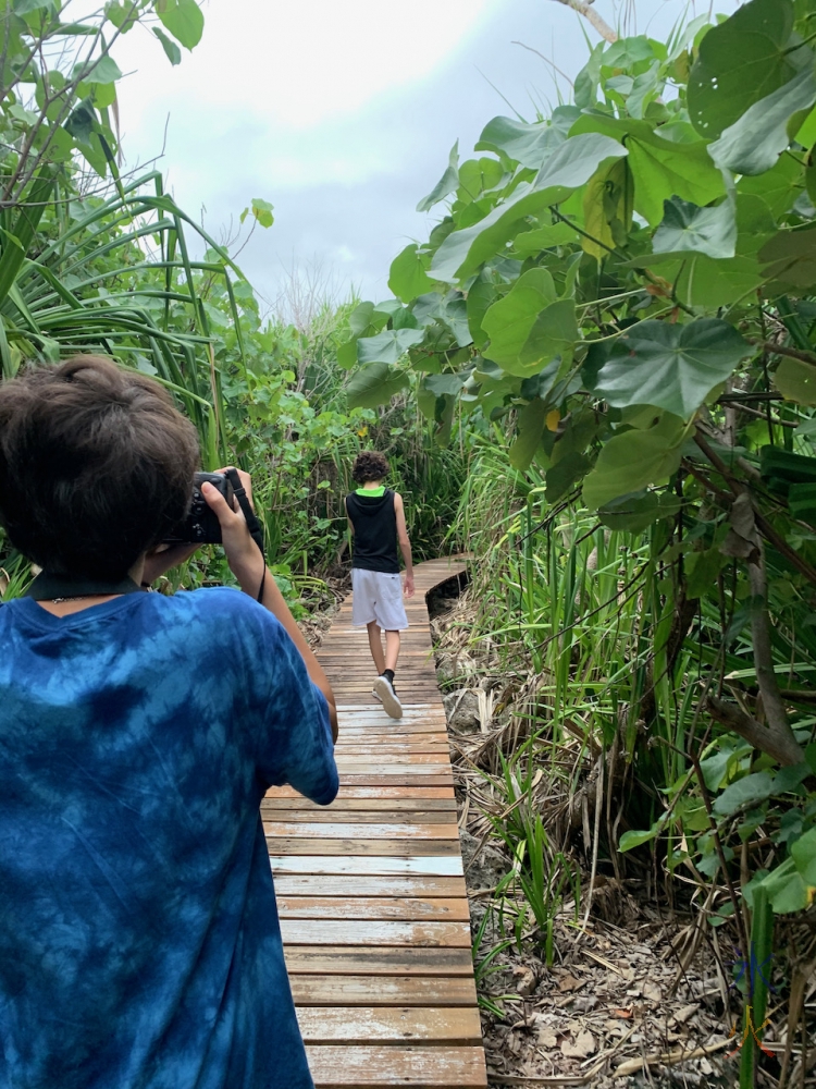 walking to the lookout 'upstairs' at Lily Beach, Christmas Island