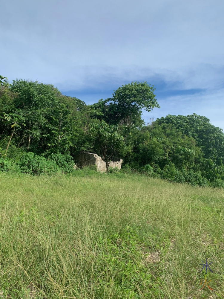 South Point Village ruins, Christmas Island