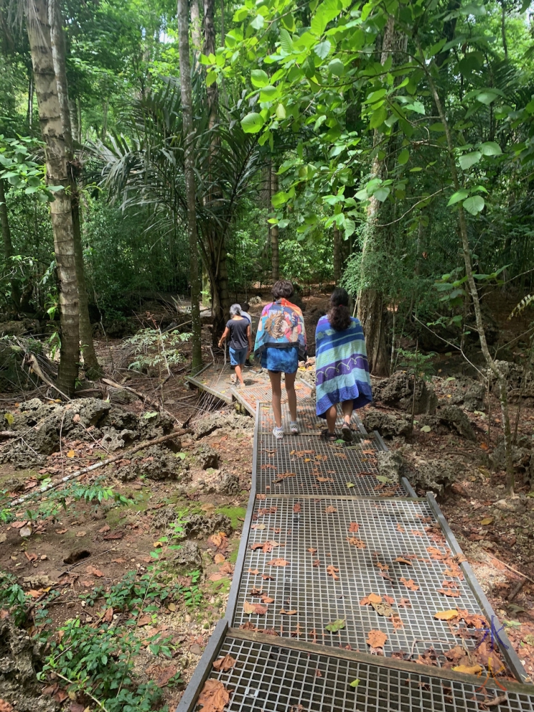 Dales walking track, Christmas Island