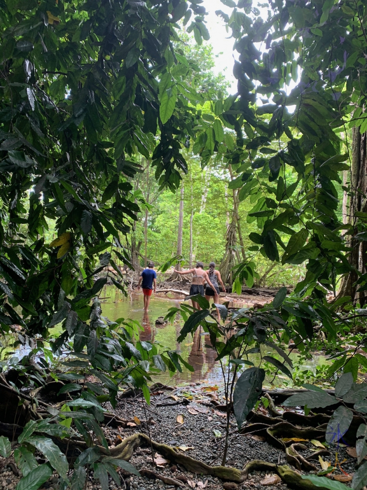 Sprat and kids walking across mud flats and Hugh's Dale, Christmas Island