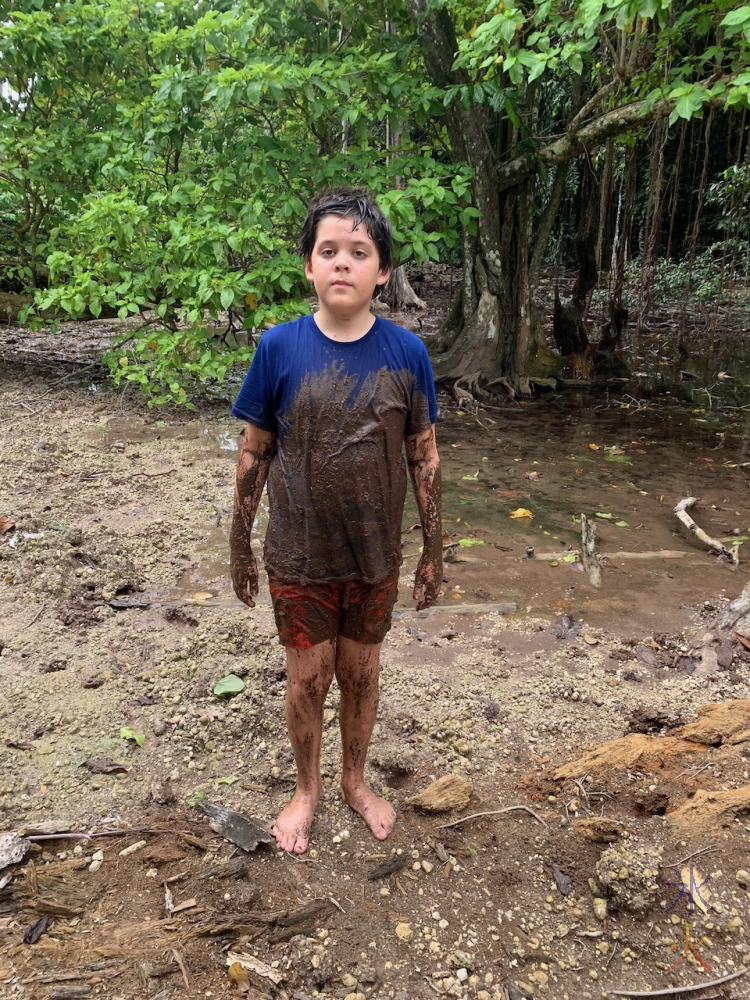 mud covered at Hugh's Dale, Christmas Island