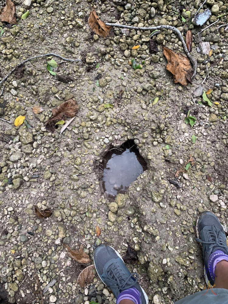 water hole at Hugh's Dale, Christmas Island