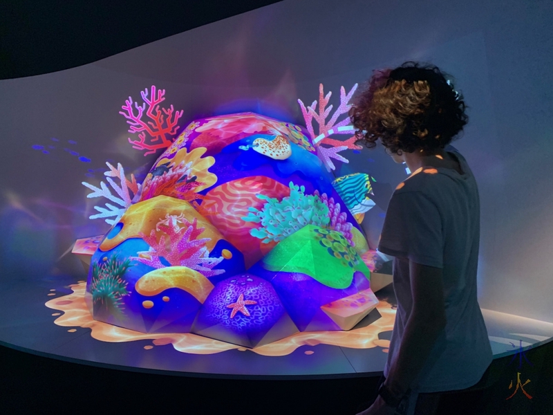 16yo looking at coral projection, Boola Bardip Museum, Perth, Western Australia