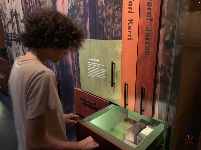 16yo looking at different types of wood in a drawer at Boola Bardip Museum, Perth, Western Australia