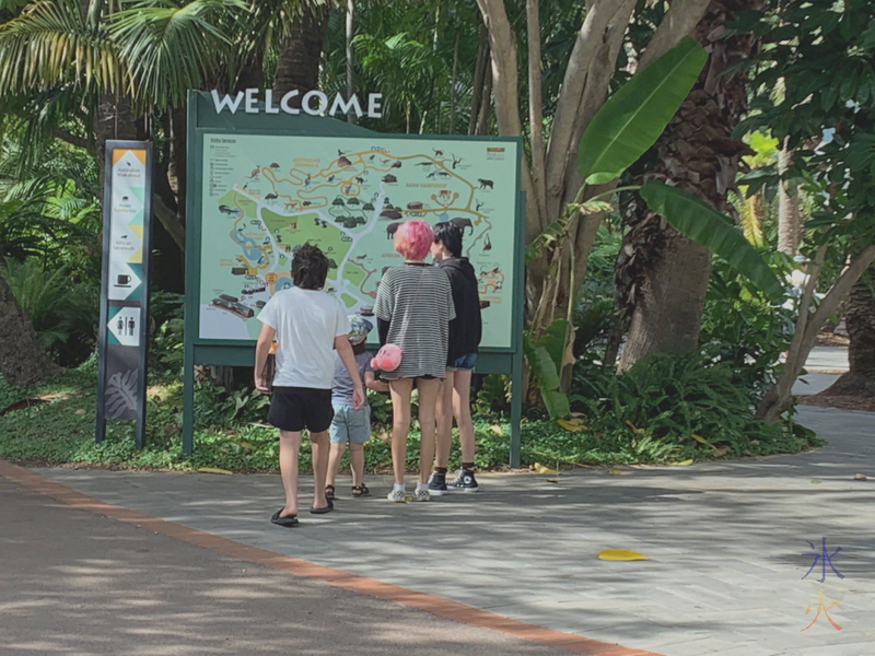 12yo, 4yo and two teenagers studying map at Perth Zoo, Western Australia 12yo, 4yo and two teenagers studying map at Perth Zoo, Western Australia