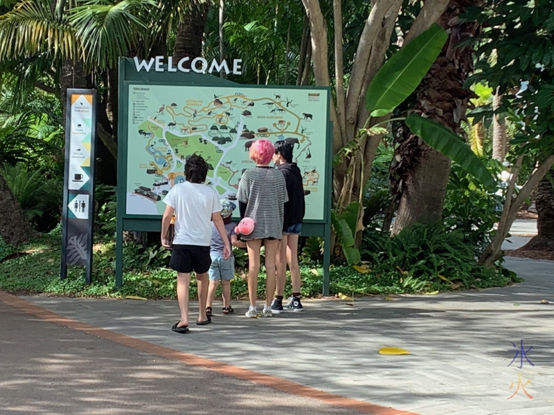 12yo, 4yo and two teenagers studying map at Perth Zoo, Western Australia