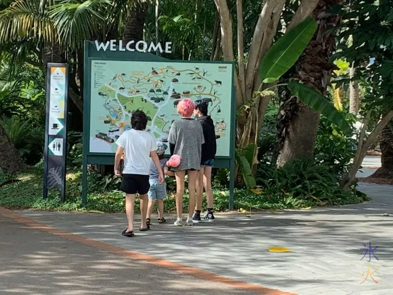 12yo, 4yo and two teenagers studying map at Perth Zoo, Western Australia