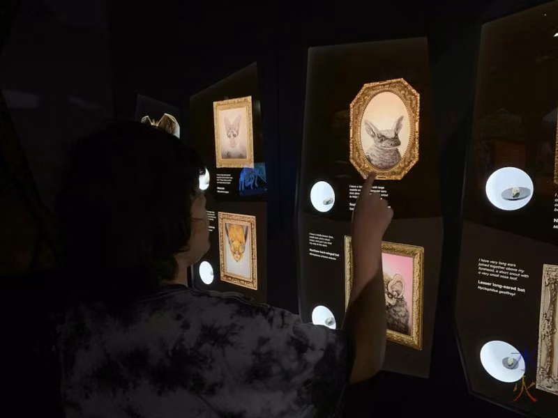 12yo spun out over tiny bats at Boola Bardip Museum, Perth, Western Australia