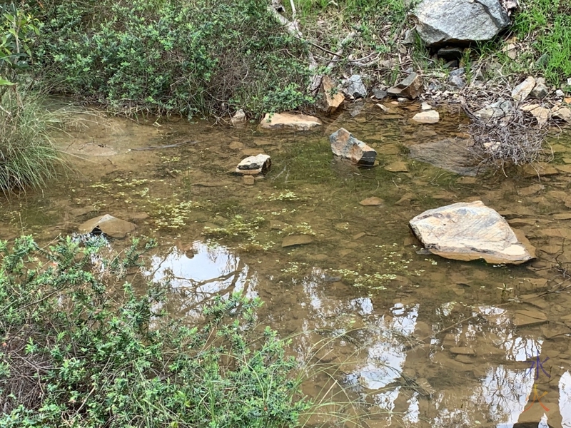 close up of one of the creeks at Ellis Brook, Banyowla Regional Park, Western Australia