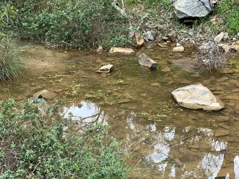 close up of one of the creeks at Ellis Brook, Banyowla Regional Park, Western Australia