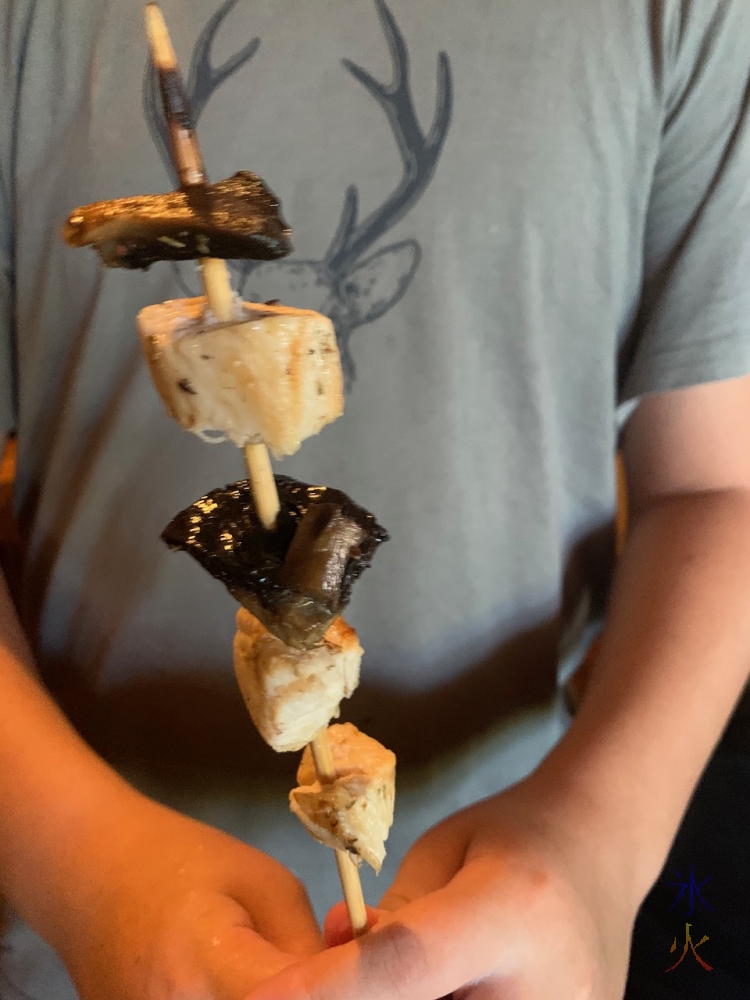 chicken and mushroom kebab made by 13yo