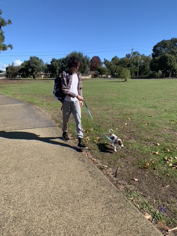 17yo walking tiny puppy