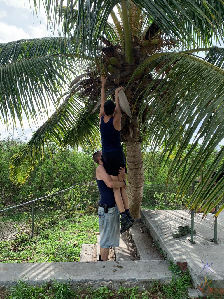 JJ holding up 19yo to get more coconuts at South Point Ruins, Christmas Island