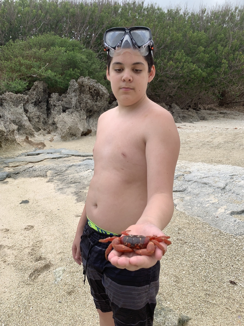 15yo holding a red crab at Lily Beach, Christmas Island