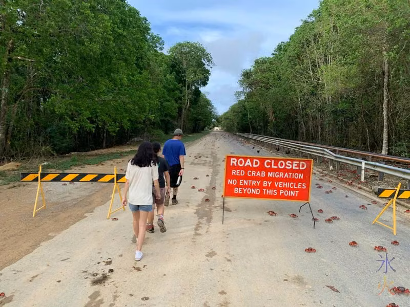 Walking past the Road Closed Red Crab Migration sign