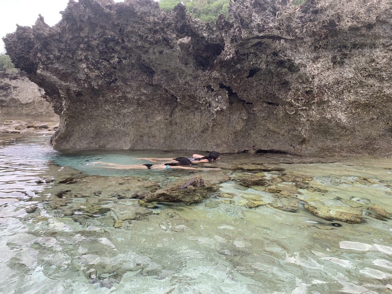 Snorkelling at Lily Beach, Christmas Island