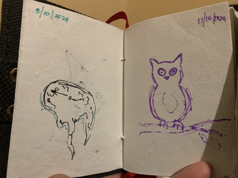 side by side sketches of a Dali-inspired melted clock and a rather cartoonish owl