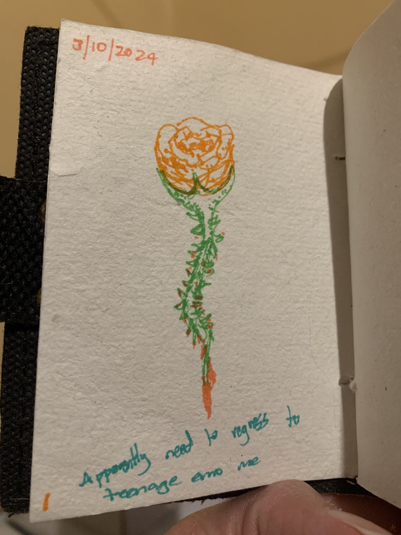 sketch of an orange rose with a bleeding stem and a note laughing about me regressing to my early teens phase where I drew a lot of these