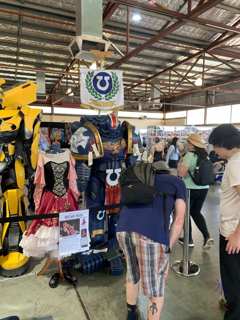 Warhammer Space Marines cosplay that 15yo beelined for (next to equally impressive Briar Rose and Bumblebee cosplays) at Perth Royal Show