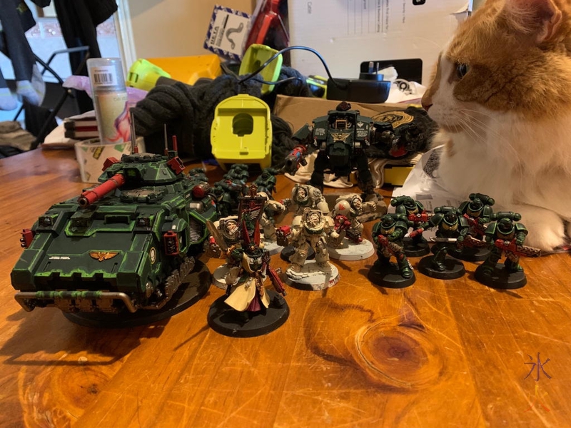 ginger and white cat looming over Warhammer models