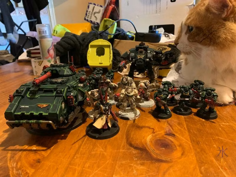 ginger and white cat looming over Warhammer models
