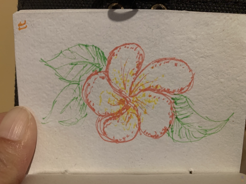 flower sketch that I'm pretty happy with