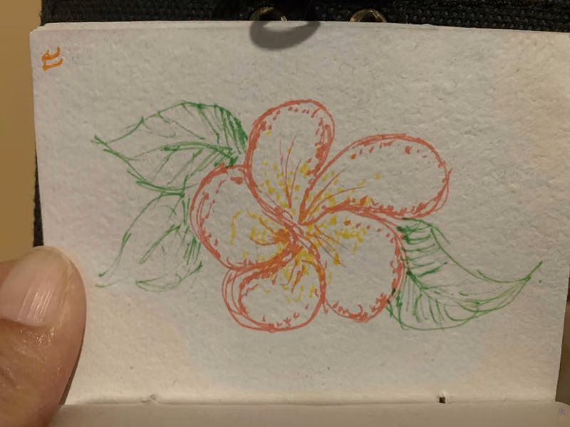 flower sketch that I'm pretty happy with