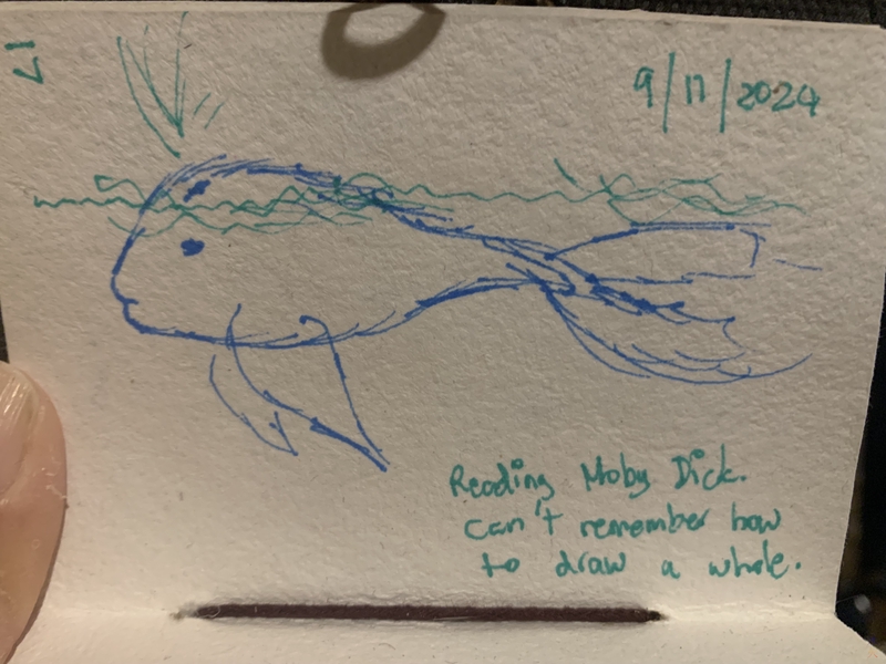 attempted drawing a whale from memory as I'm reading Moby Dick at the moment and it ended up looking like a goldfish