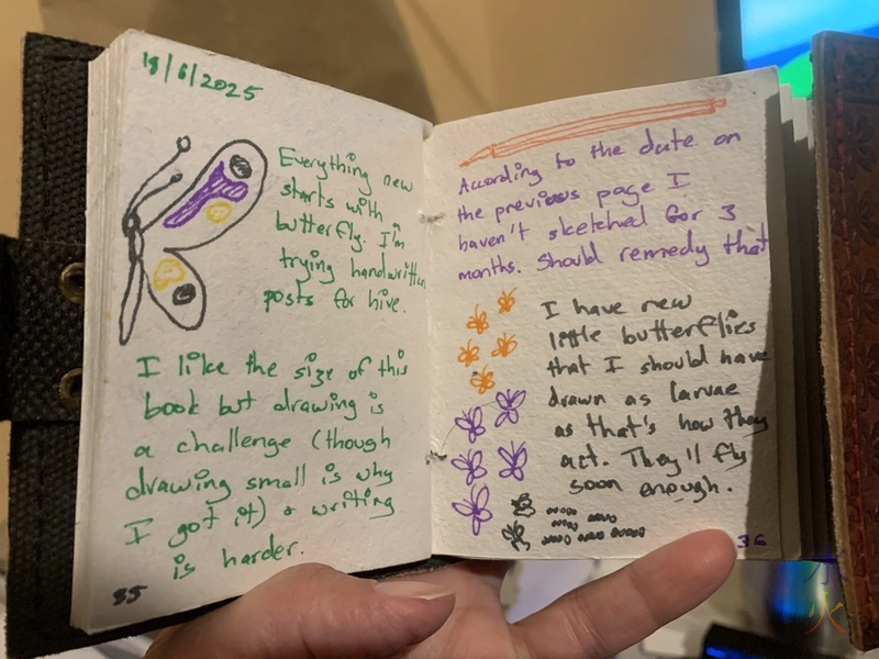 handwritten journal entry, transcript below