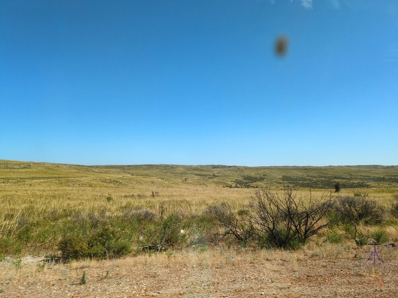 out the window shot from the passenger side of a car driving along Indian Ocean Drive