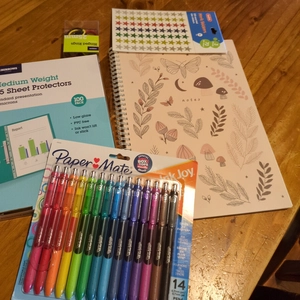 Officeworks haul for this year