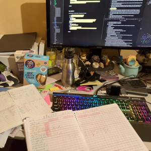 photo of my very messy desk with my post-shift data entry nonsense