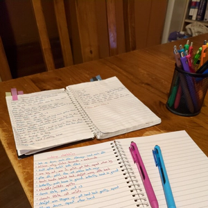 copying stuff from a worn out old notebook into a crisp new one