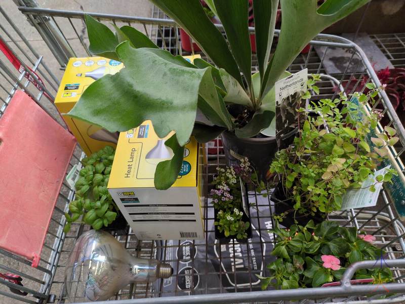 trolley full of more things than were on the shopping list at Bunnings