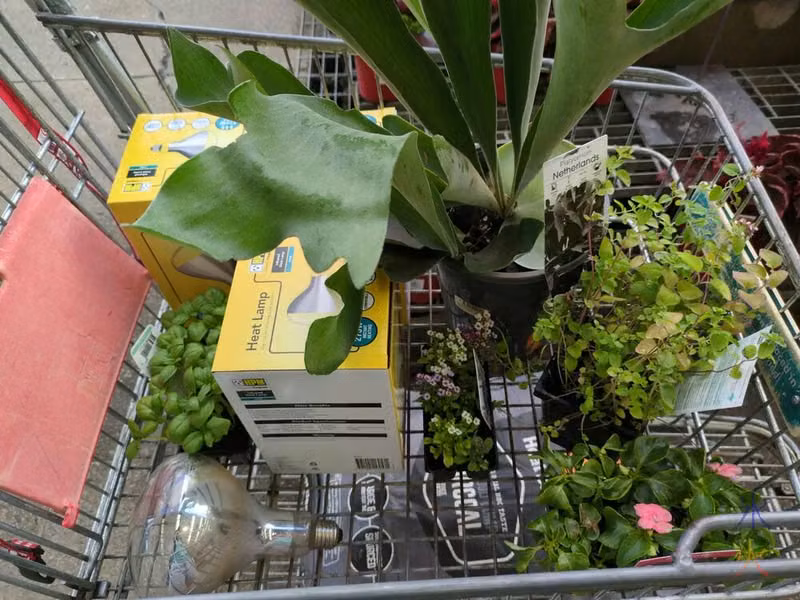 trolley full of more things than were on the shopping list at Bunnings