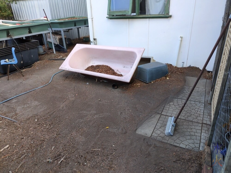 uncovering the back path