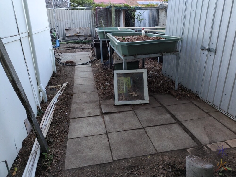 uncovering the back path