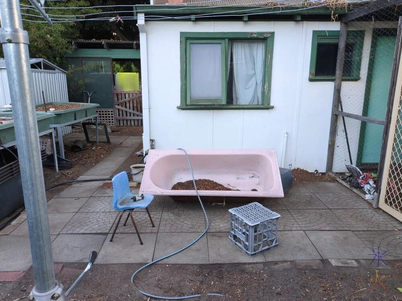 uncovering the back path