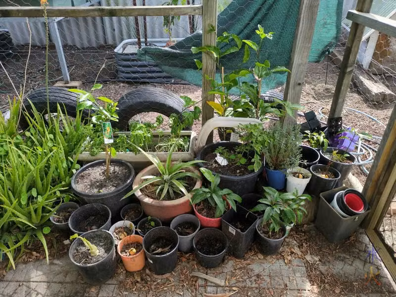 catio garden