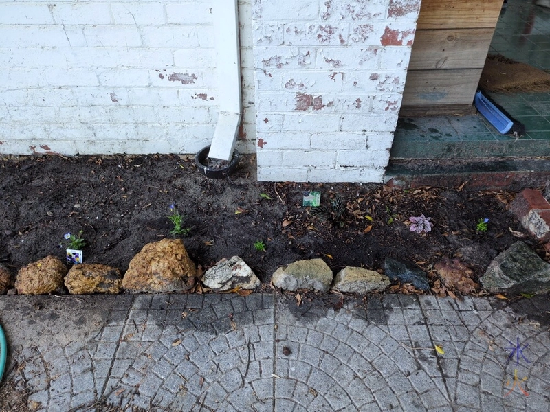 porch bed with a couple of violas and lobelias added