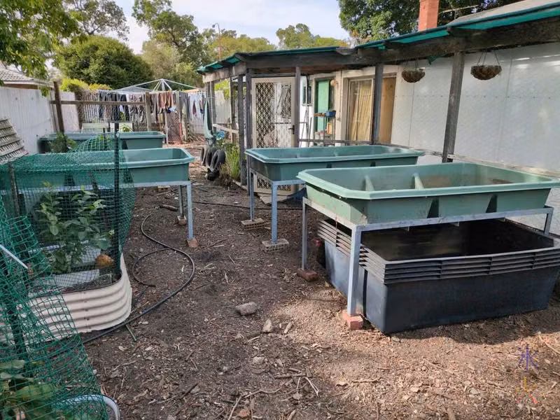 partially set up aquaponics system