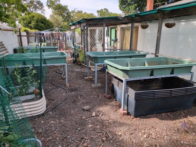 partially set up aquaponics system