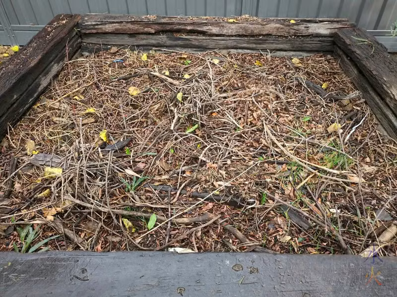 that grass is not meant to be growing in the railway sleeper bed but anyway