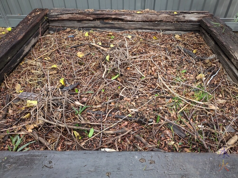 that grass is not meant to be growing in the railway sleeper bed but anyway