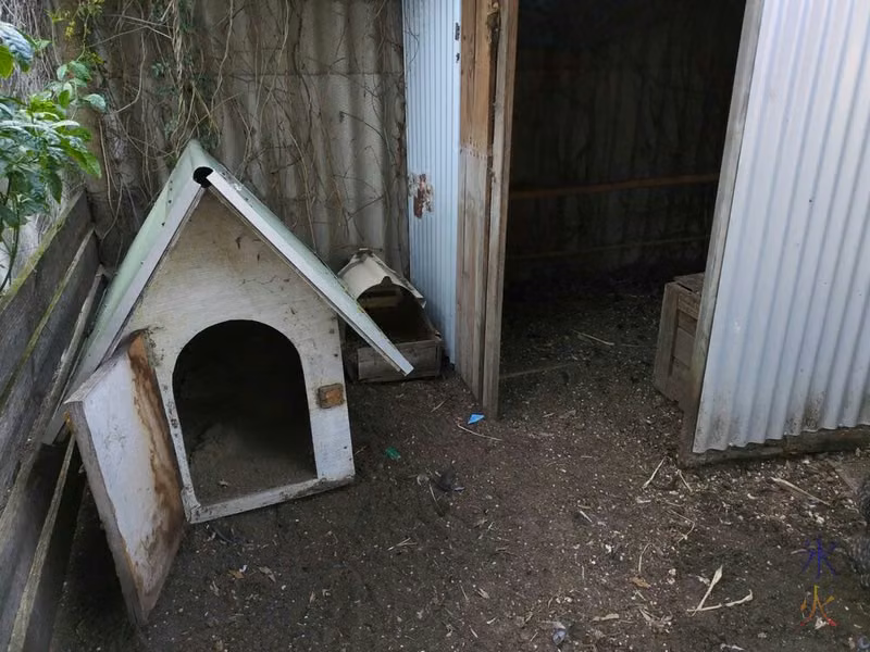 repurposed dog kennel inside chicken coop