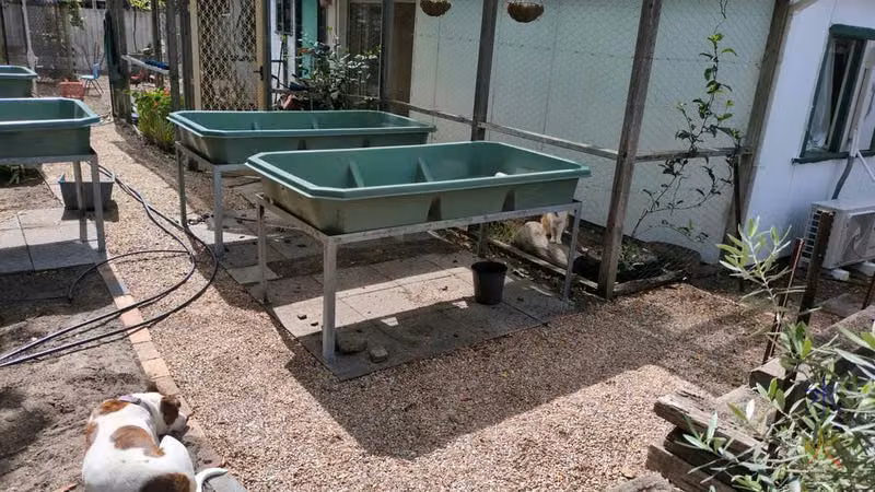 gravel path from chicken area through aquaponics to side garden