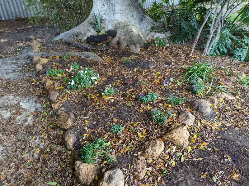 flowers very slowly filling garden bed